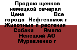 Продаю щенков немецкой овчарки › Цена ­ 5000-6000 - Все города, Нефтекамск г. Животные и растения » Собаки   . Ямало-Ненецкий АО,Муравленко г.